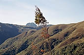 The Ajcanacu pass at 3739 m the last Andean pass that marks the entrance to the National Park of Manu 